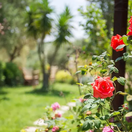 Apartment Yiannis Planos