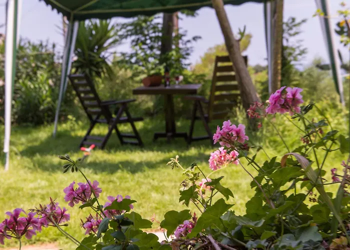 Yiannis טסיליבי